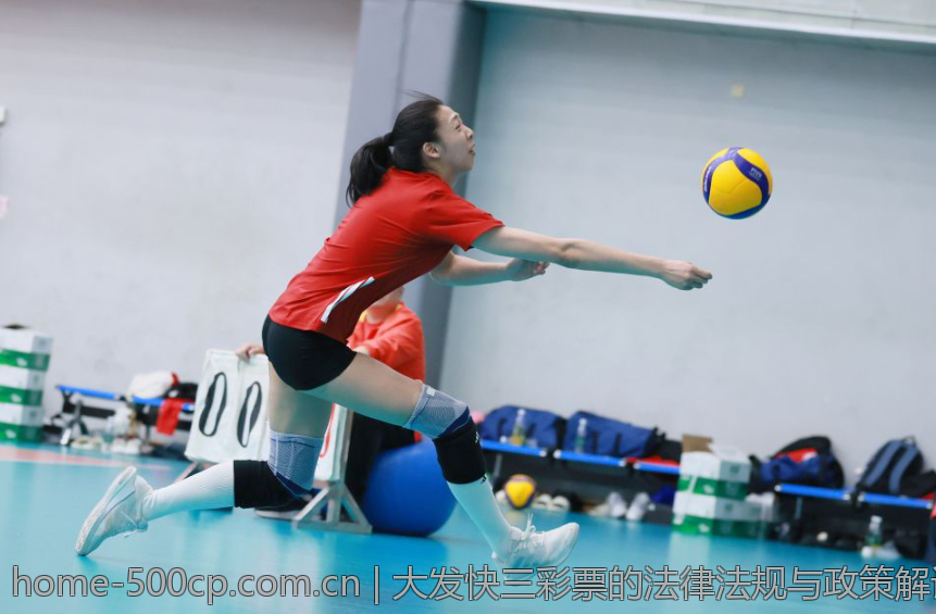 大发快三彩票的法律法规与政策解读