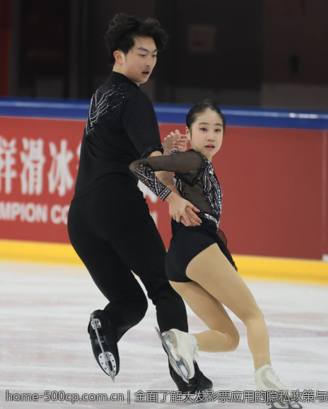 全面了解大发彩票应用的隐私政策与数据保护