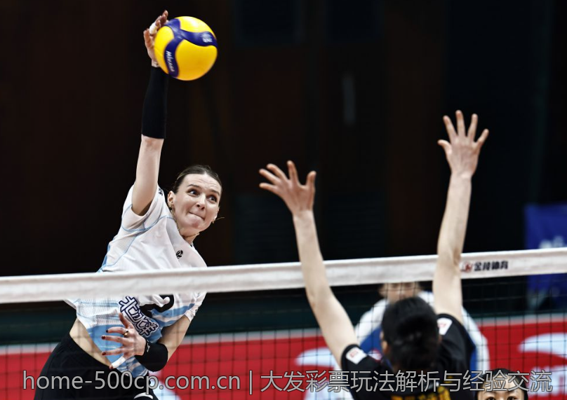 大发彩票玩法解析与经验交流