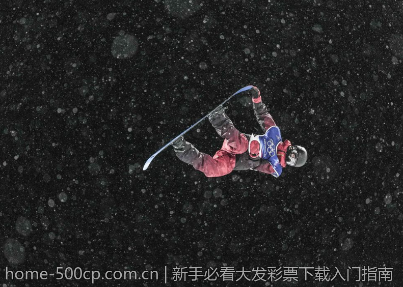 新手必看大发彩票下载入门指南