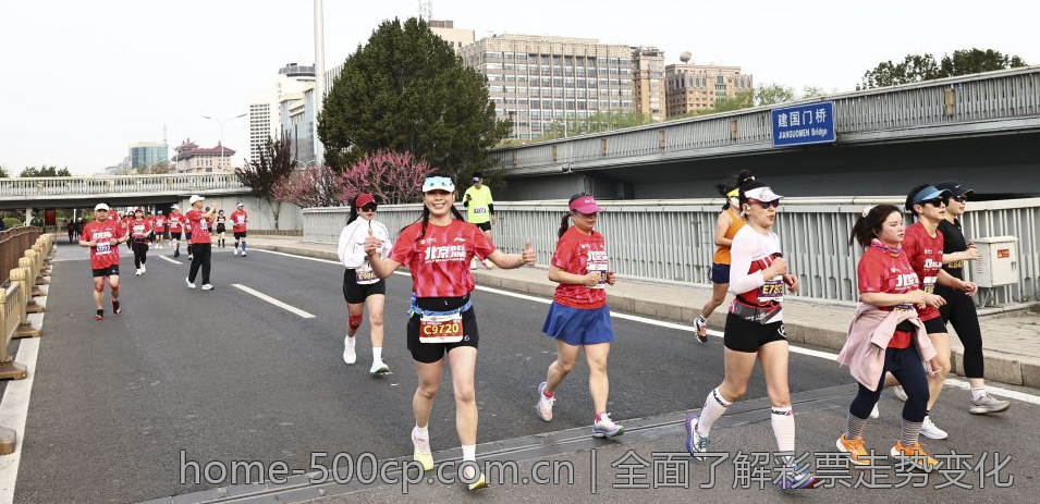 全面了解彩票走势变化